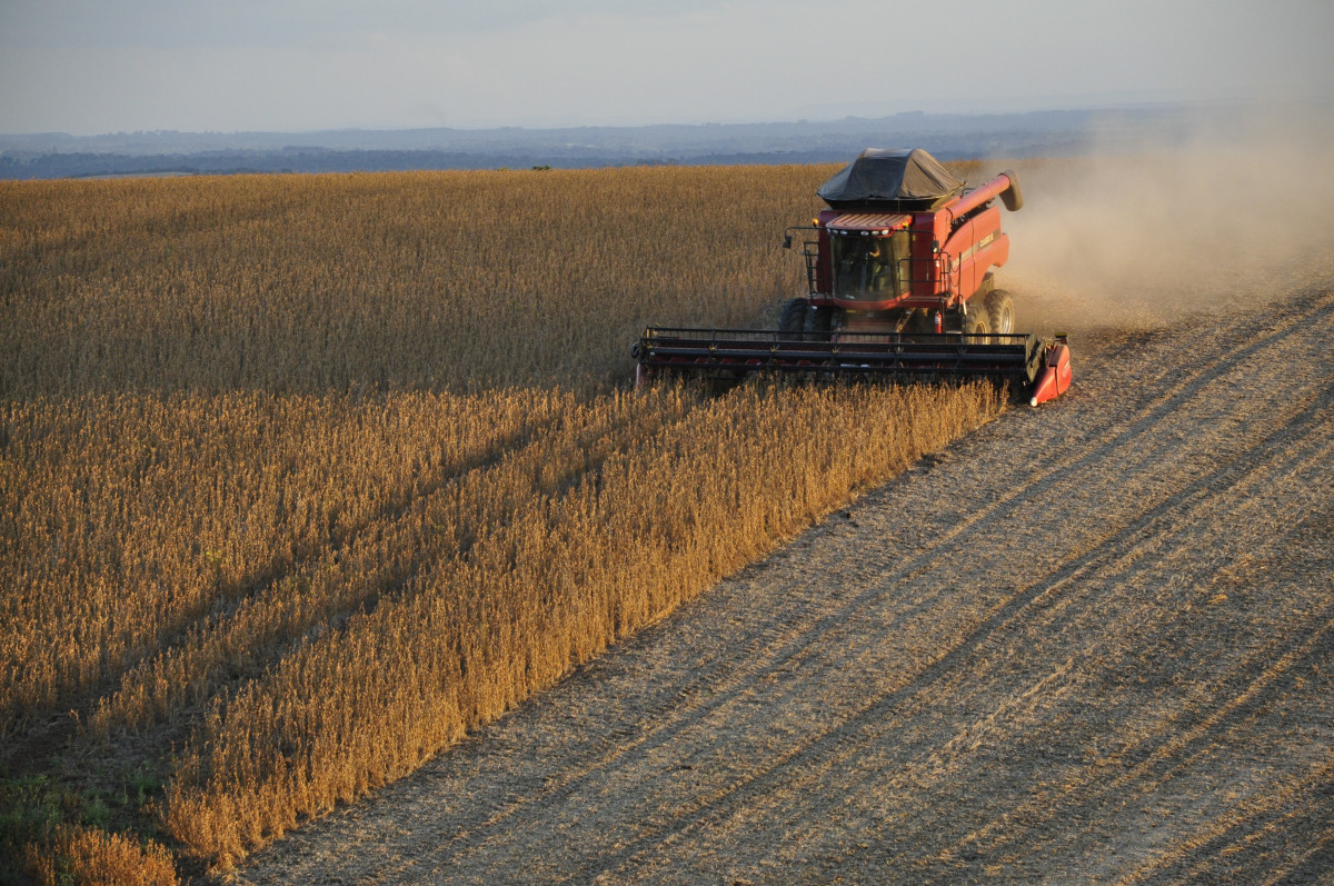 Soybean exporters will have access to dollars for industrial production