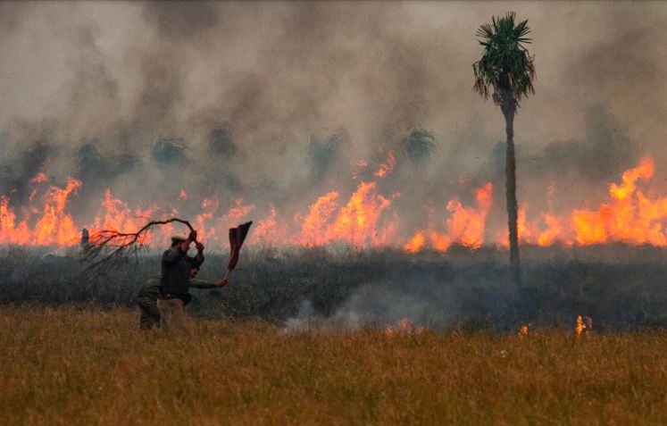 ‘El país está en llamas’: incendios forestales arrasan todas las provincias de Argentina para 2022