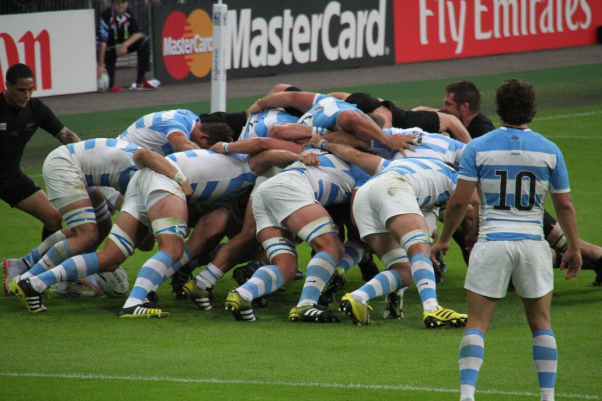 Los Pumas will play its opening match this Saturday. Credit: Pixabay