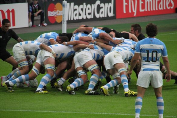 Los Pumas will play its opening match this Saturday. Credit: Pixabay