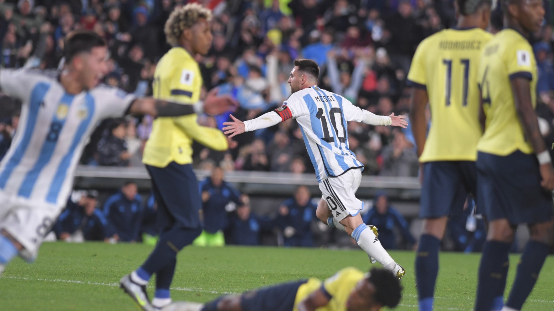 Copa America 2024 host stadiums announced Buenos Aires Herald