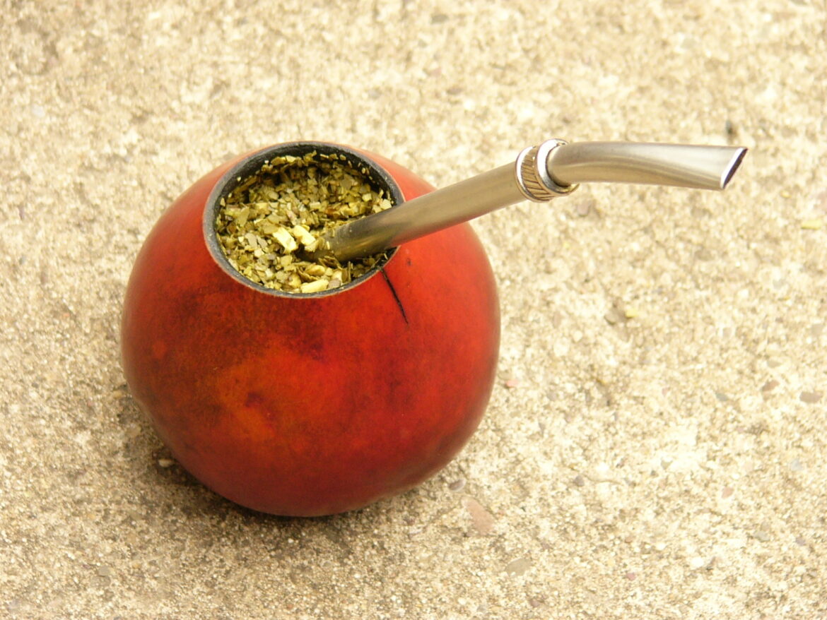 Yerba mate in a gourd. Photo: Edgar Claros Franetovic via Wikimedia commons