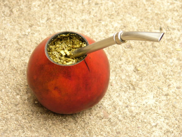 Yerba mate in a gourd. Photo: Edgar Claros Franetovic via Wikimedia commons