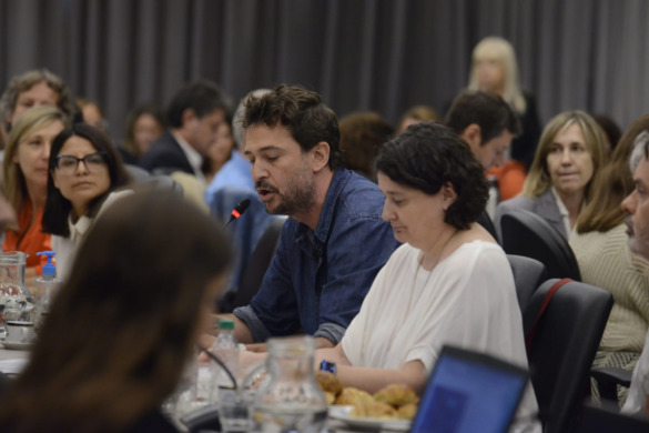 Director Santiago Mitre speaking before Congress