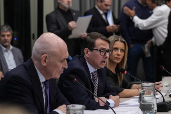 Commissions debate Milei's new fiscal reform package. Source: Congress press
