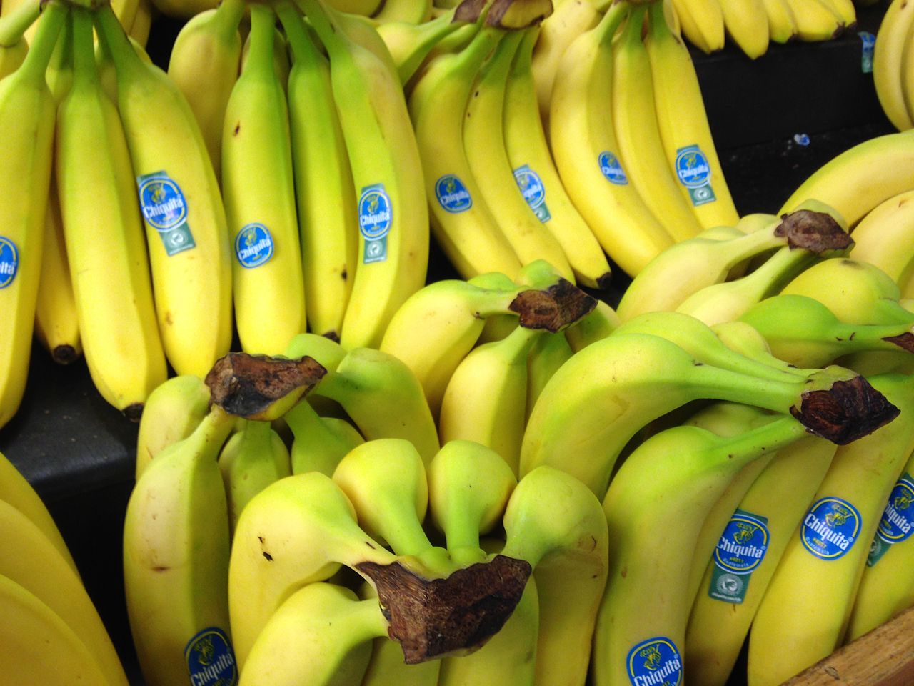 US court finds banana giant Chiquita liable for financing Colombian paramilitaries