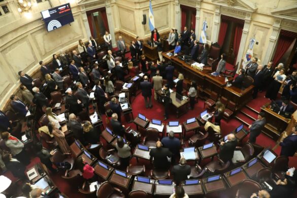 Argentine Senate. Credit: Ignacio Petunchi