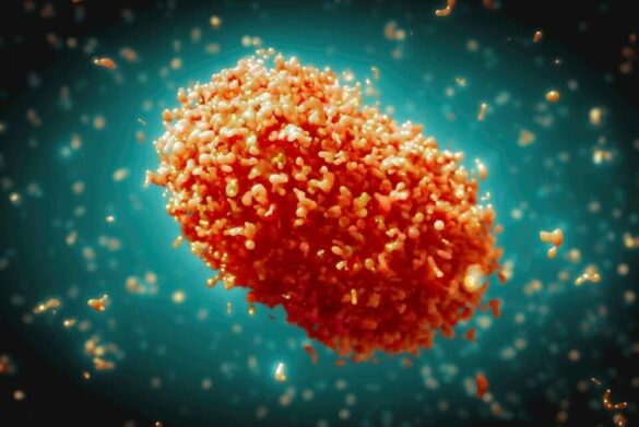 Mpox virus. Source. WHO