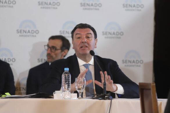 Judge Ariel Lijo speaks to Argentina's Senate about President Javier Milei's nomination for him to sit on Argentina Supreme Court. Photo: Ignacio Petunchi