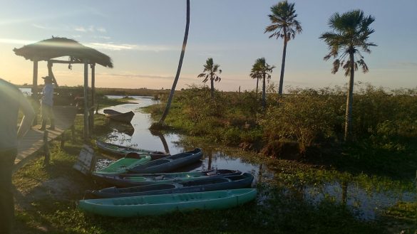 Sunset Kayaking in Argentina's Iberá Wetlands Photo Amy Booth