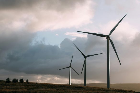 Wind farm. Credit: Sam Forson (Pexels)