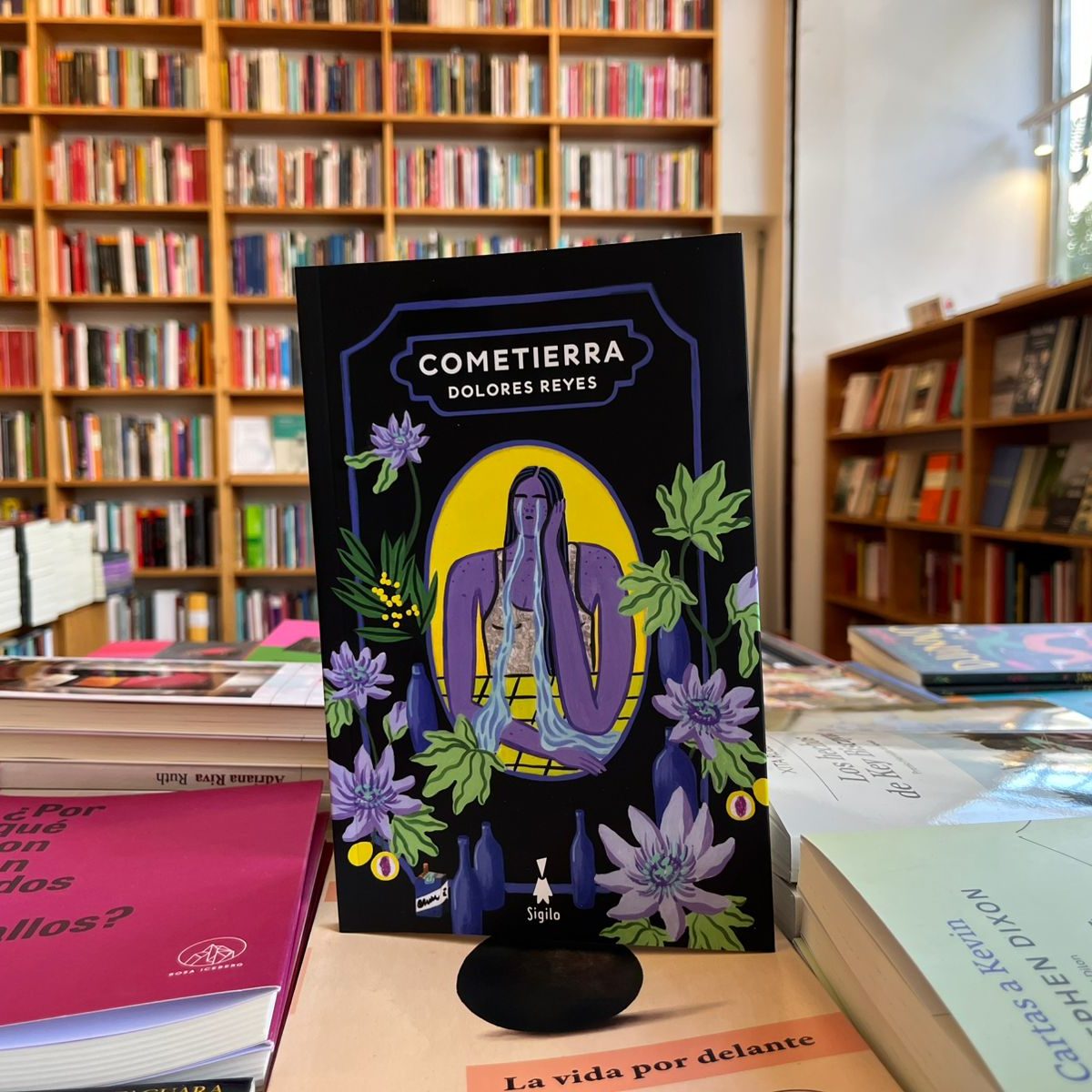 Cometierra, by Dolores Reyes, on display at Céspedes Libros. Photo: Céspedes Libros