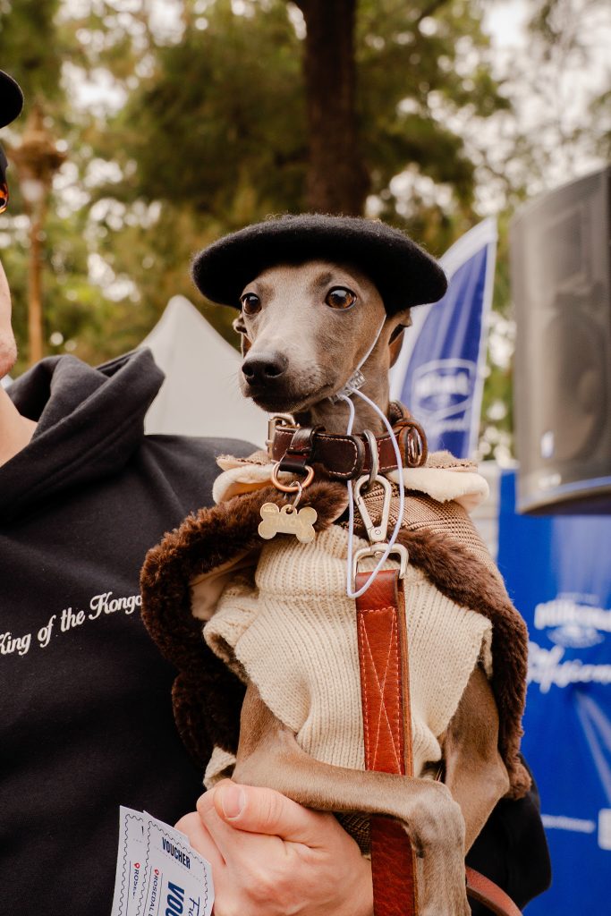 Buenos Aires marks long weekend with food festivals, music events and bar anniversary